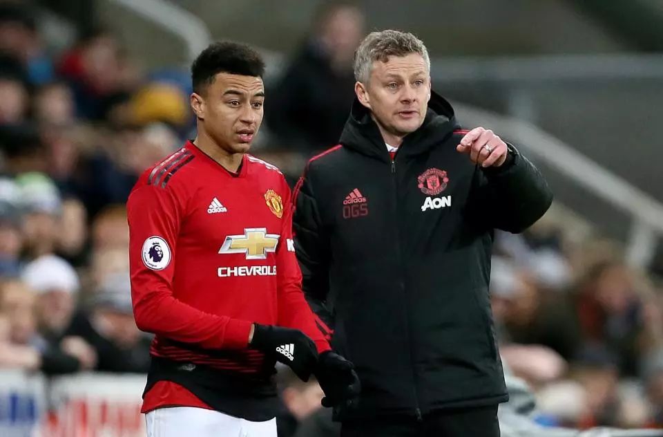 是全新的 是全新的