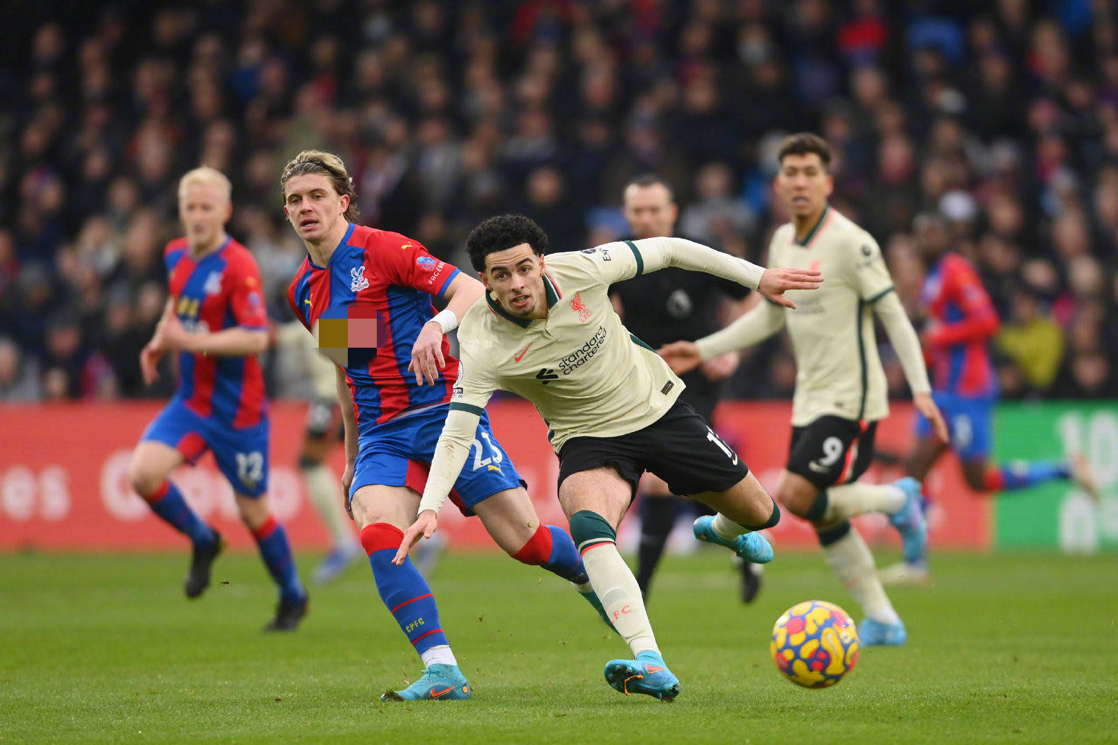 疑团与确定 疑团与确定