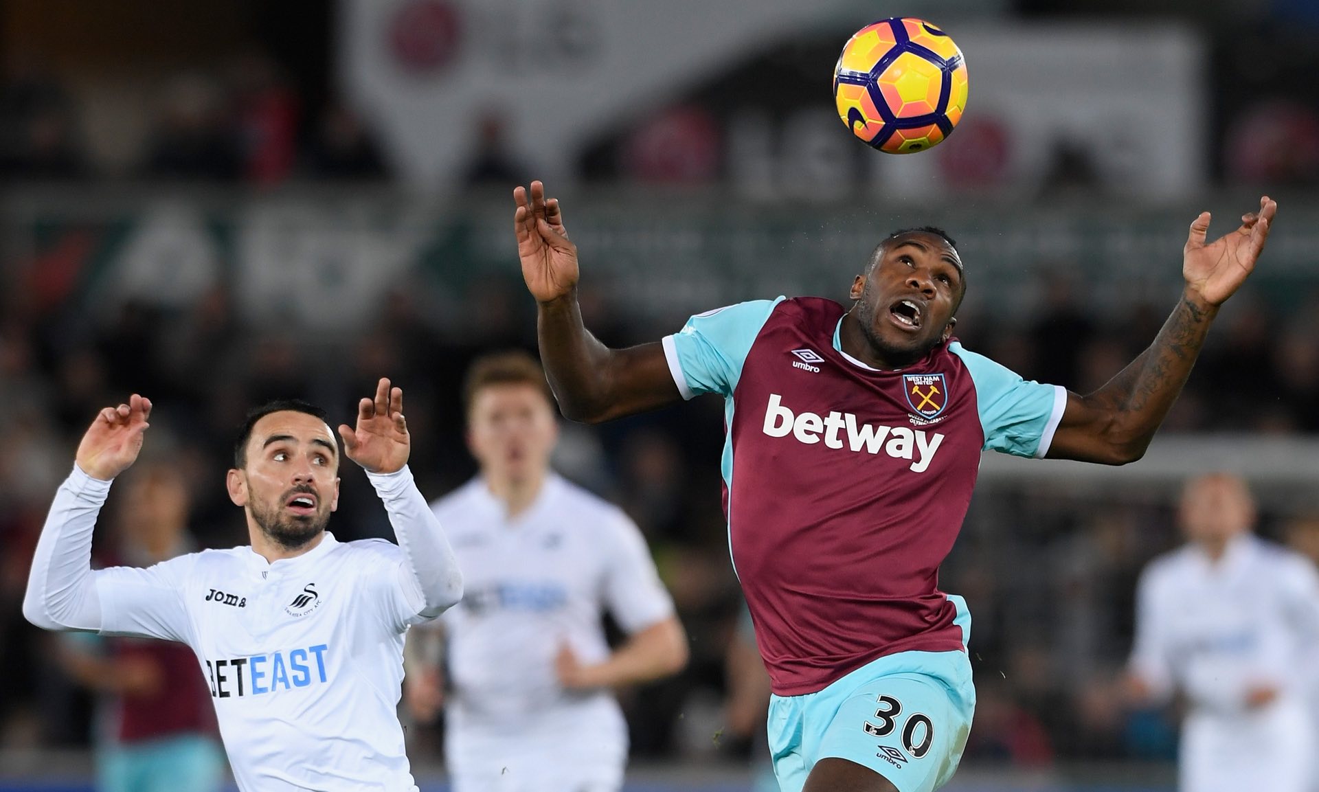 尼与教练合 尼与教练合